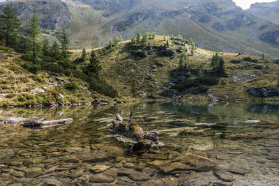 Scenic view of lake by mountains