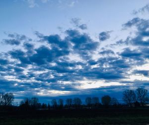 Silhouette trees on field against sky