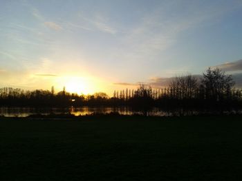 Sun shining through trees