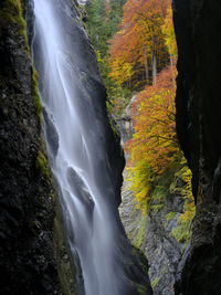 Scenic view of waterfall in forest