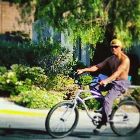 bicycle, lifestyles, leisure activity, young adult, tree, full length, casual clothing, side view, mode of transport, transportation, riding, focus on foreground, young women, land vehicle, person, plant, holding, outdoors