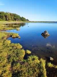 Scenic view of lake against blue sky