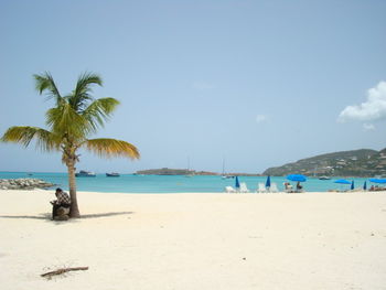 Palm trees on beach