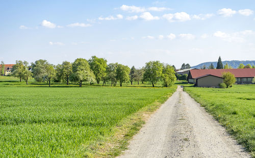 Scenic view of field by houses against sky