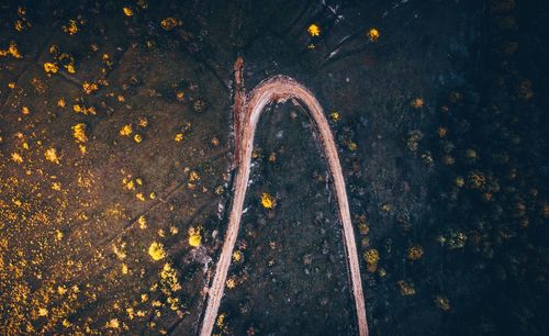 High angle view of road on field