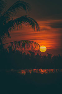 Silhouette plants against romantic sky at sunset