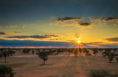 Scenic view of field against sky during sunset