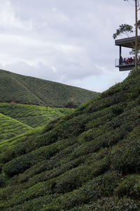 Scenic view of land against sky