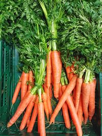 Directly above shot of carrots in crate