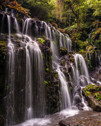 Scenic view of waterfall in forest