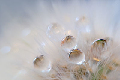 Full frame shot of water drops