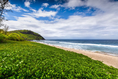 Scenic view of sea against sky