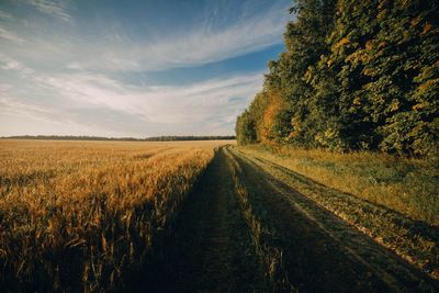 Dirt road amidst field against sky