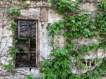 Window of abandoned building