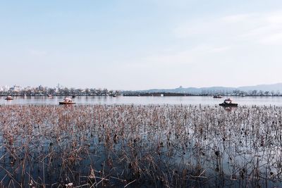 Scenic view of calm lake against sky