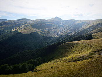 environment
