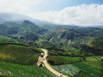 Scenic view of agricultural field against sky