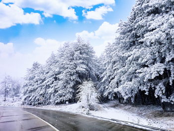 Road amidst trees against sky during winter