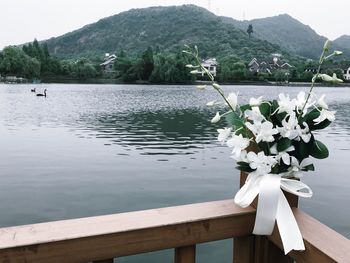 Scenic view of lake by mountains