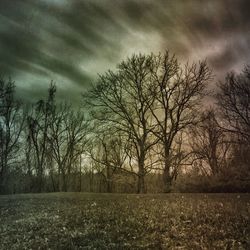 Bare trees on field against cloudy sky