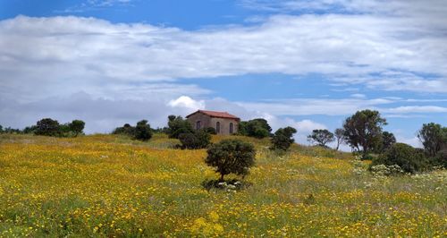 House on field against sky