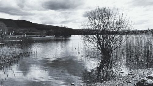 Scenic view of lake against cloudy sky