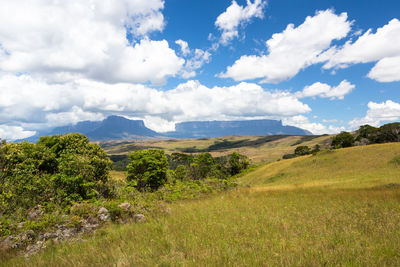 Scenic view of field against sky