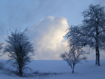 Scenic view of snow covered landscape