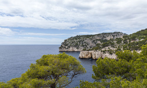 Scenic view of sea against sky