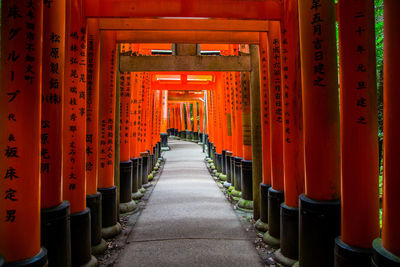 Shrine gates in kyoto 