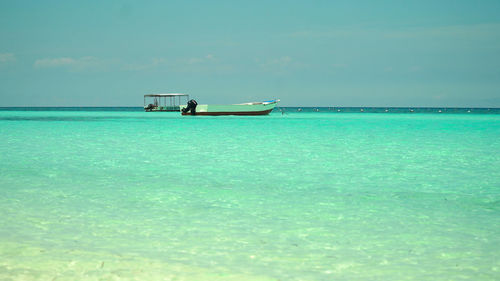 Tropical beach on the island panglao, philippines. seascape with beach.