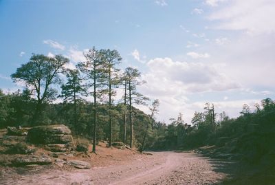 Road amidst trees against sky