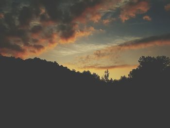 Silhouette trees against sky during sunset