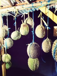 Close-up of fruits for sale