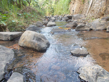 Stream flowing through rocks in forest