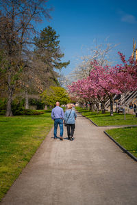 Rear view of man and woman walking in park