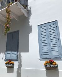 Close-up of potted plant against building