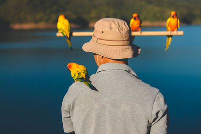Rear view of man with birds against lake