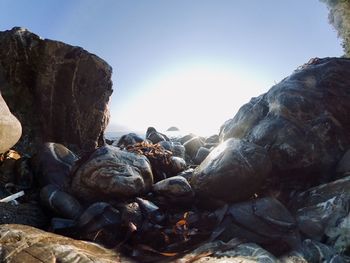 Close-up of rocks on beach against sky