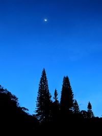 Low angle view of silhouette trees against clear blue sky