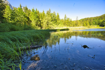 Scenic view of lake