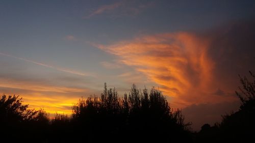 Silhouette trees against sky during sunset