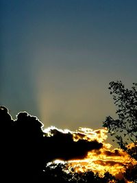 Low angle view of silhouette trees against sky during sunset