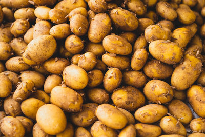 Full frame shot of new potatoes