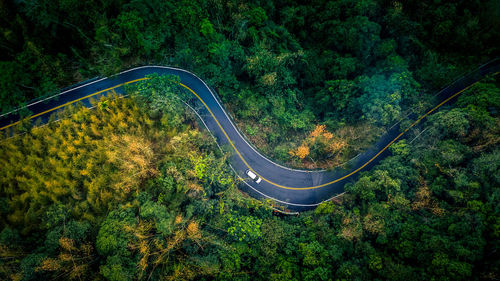 High angle view of road amidst trees in forest