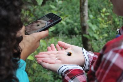 Cropped hands photographing caterpillar held by male friend in forest