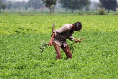 Rear view of man working on field