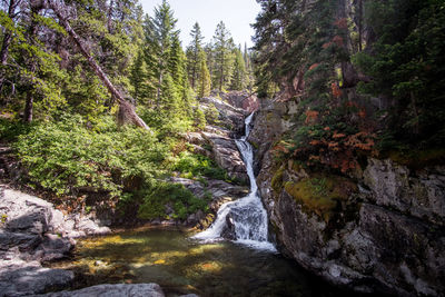 Stream flowing through rocks in forest