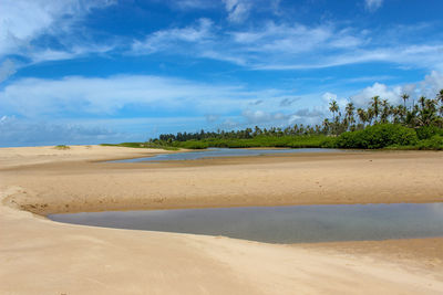 Scenic view of beach against blue sky