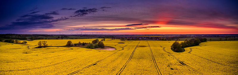 Scenic view of agricultural field against sky during sunset